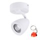 Lampa reflektor spot Albico 1 AZ1240 Azzardo