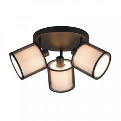 Lampa reflektor spot BURTON 811430332 Trio