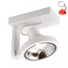 Lampa reflektor spot MASTER 111 SL ACGU10-180 Zuma Line