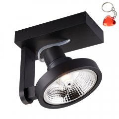 Lampa reflektor spot MASTER 111 SL ACGU10-181 Zuma Line