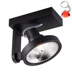 Lampa reflektor spot MASTER ACGU10-181-N Zuma Line