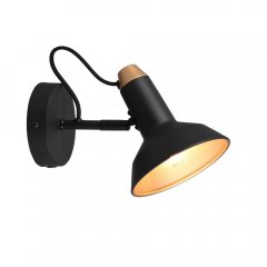 Lampa reflektor spot ROXIE 811900132 Trio