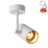 Lampa reflektor spot TORI SL 1 WHITE-GOLD 20014-WH Zuma Line