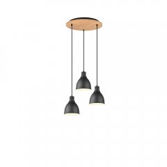 Lampa wisząca HENLEY 310730332 Trio