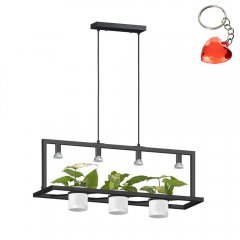 Lampa wisząca PLANTER P0536-04B-P7AB Zuma Line