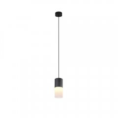 Lampa wisząca ROBIN 310600101 Trio