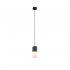 Lampa wisząca ROBIN 310600101 Trio