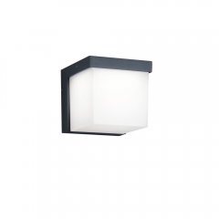 Lampa natynkowa ścienna LED 3,5W YANGTZE 228260142 Trio