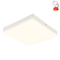 Plafon LED 12W MATTHEW 12388-18W Globo