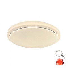 Plafon LED 12W TREVOR 71181 Rabalux