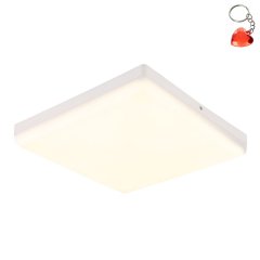 Plafon LED 18W MATTHEW 12388-24W Globo