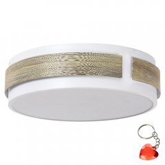 Plafon LED 18W SALMA 5645 Rabalux