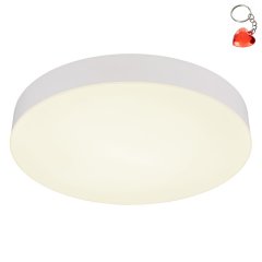 Plafon LED 24W MATTHEW 12384-24W Globo