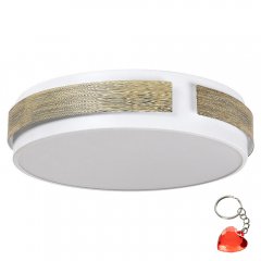 Plafon LED 24W SALMA 5646 Rabalux