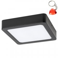 Oprawa natynkowa sufitowa LED 12W SHAUN 2689 Rabalux