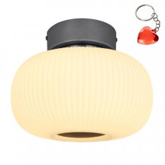 Lampa sufitowa LED 12W BOOMER 15437D Globo