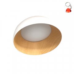 Lampa sufitowa LED 18W TRENTO 13-24169 Candellux