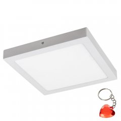 Lampa sufitowa LED 24W LOIS 2665 Rabalux