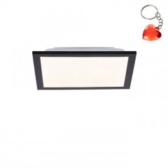 Lampa sufitowa LED 6W FLAT 14740-18 Paul Neuhaus